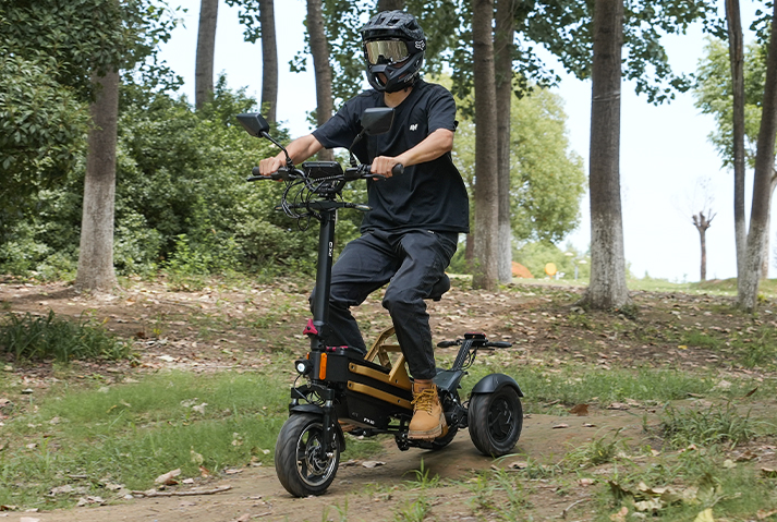 BESTRIDE PRO W2 城市远行