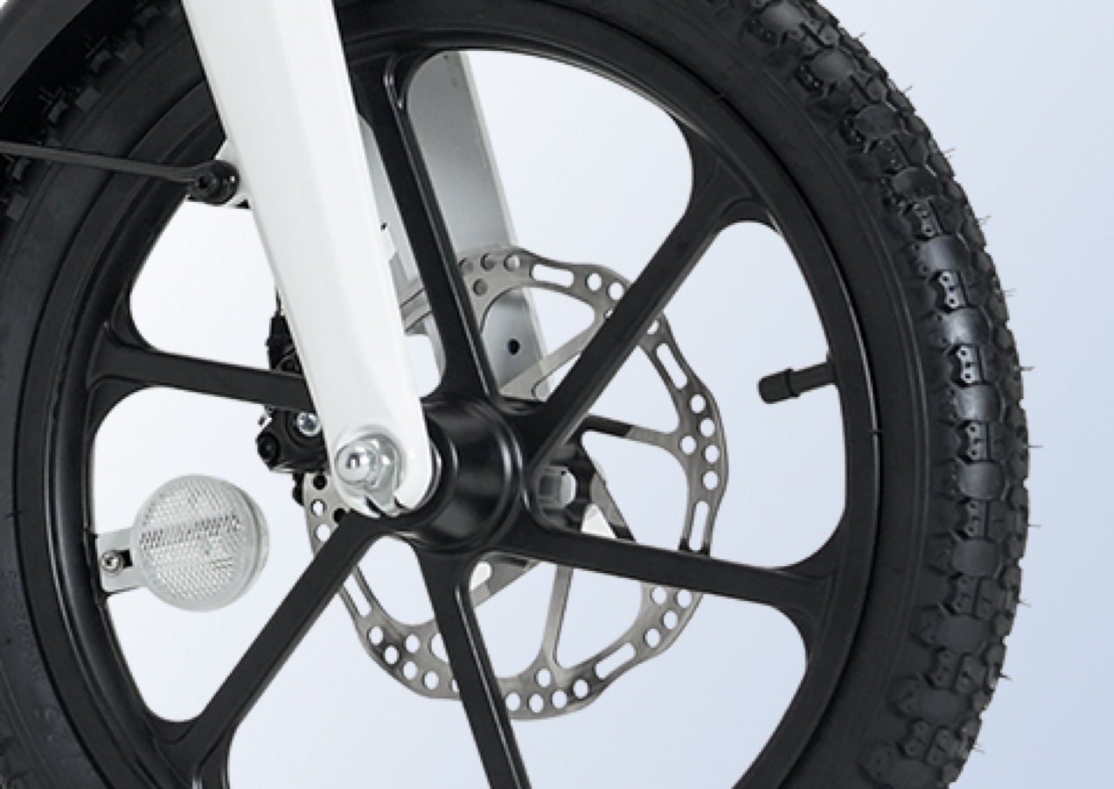 LIGHT-P2 detail