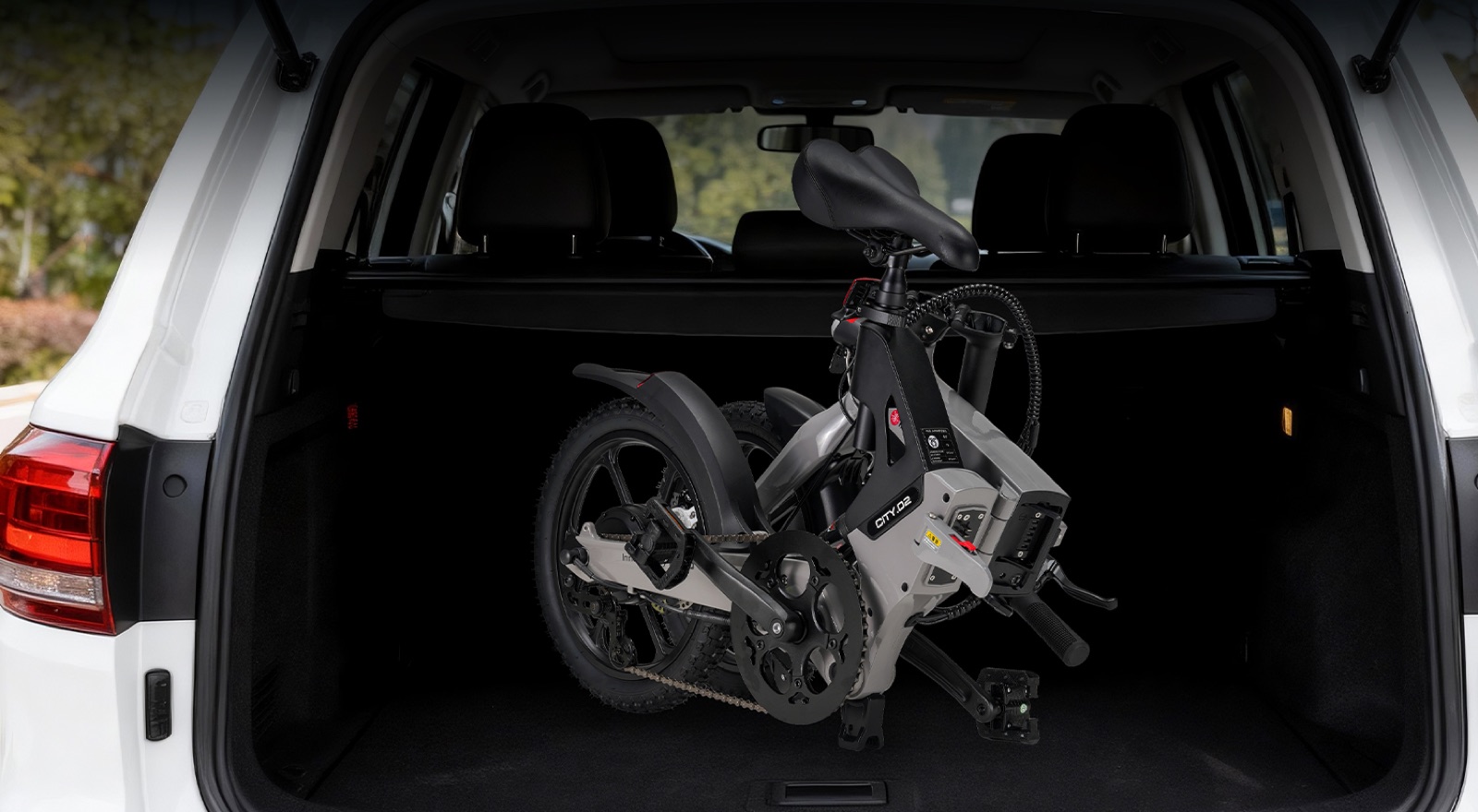 LIGHT-P2 - Rental Fleet