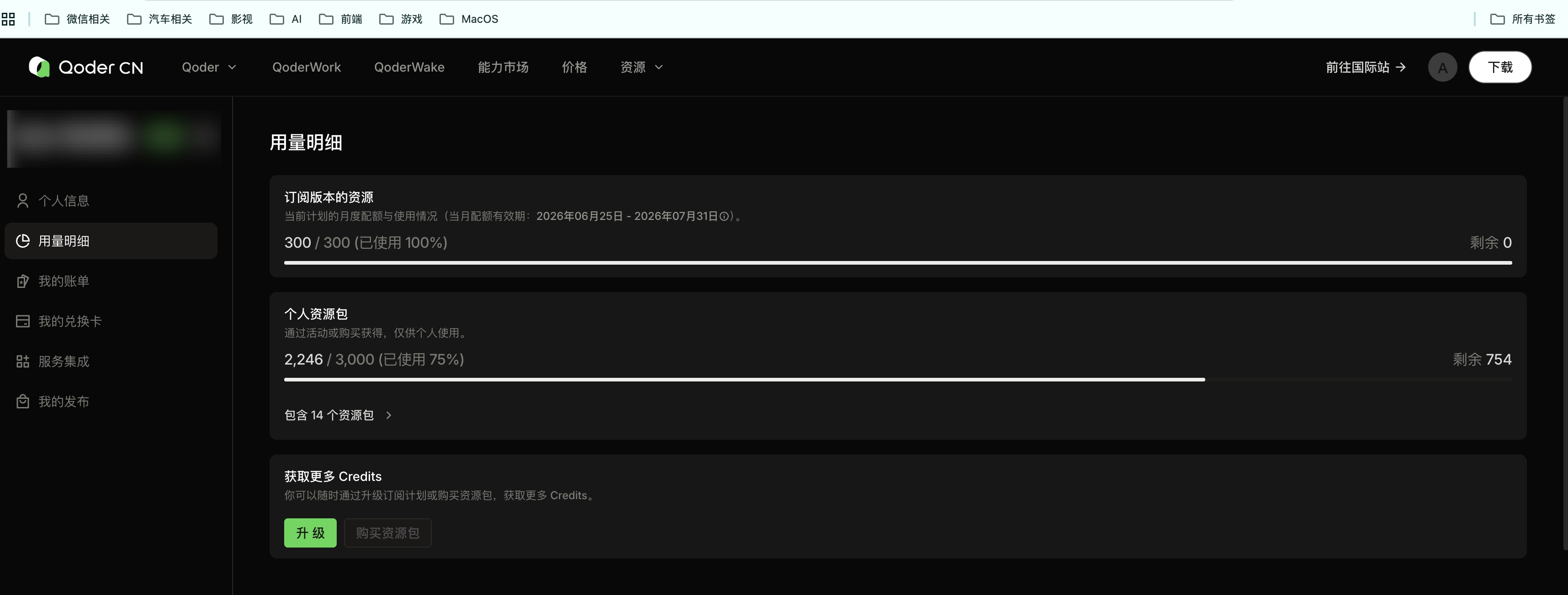 Qoder CN 用量明细